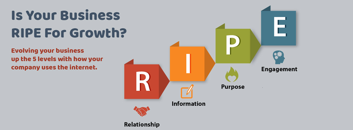 Infographic - RIPE - 4 Paths to Web based Leadership