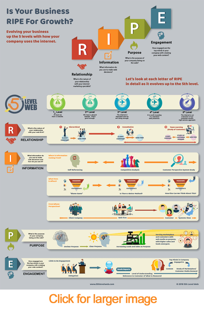 RIPE Infographic 5th level web leadership model